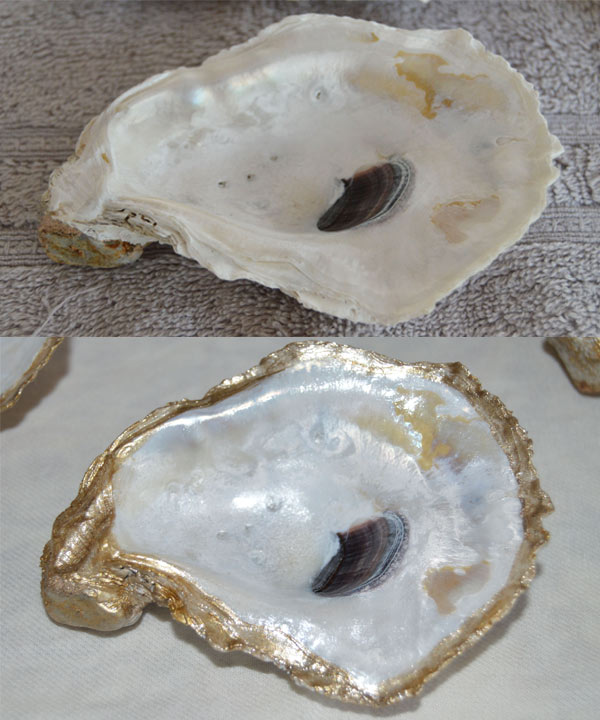 oyster-dish-1-before-after